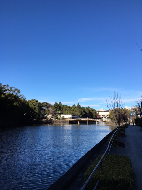 鎌倉への定期配送