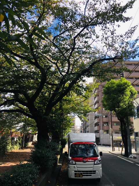 早朝に横浜市金沢区で引き取ったユニットバスを西区の現場までお届けしました。