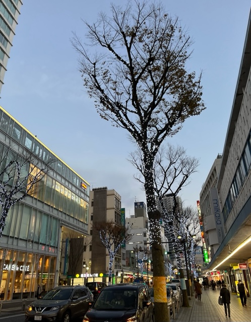 本日は午前中横浜市内10カ所への配送を行い、午後からお客様の車を使用して横浜市から食品を横須賀市4カ所へ代行配送しました。横須賀の街は奇麗なイルミネーションでした。