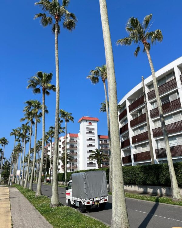 本日は仲間の赤帽さんの依頼で平塚市でお預かりした荷物を逗子市5箇所へ配送、午後から仲間の赤帽さんと一緒に桐のタンスを横浜市中区から川崎市まで配送しました。