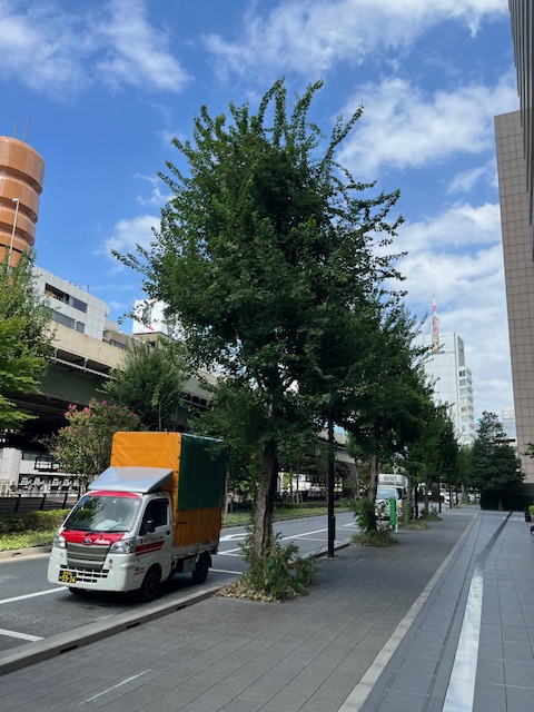本日は横浜市保土ヶ谷区から新宿区まで単身引越を行いました。