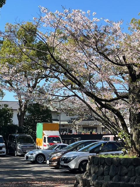 本日は伊勢原市で引き取った建設資材を厚木市の現場までお届けしました。